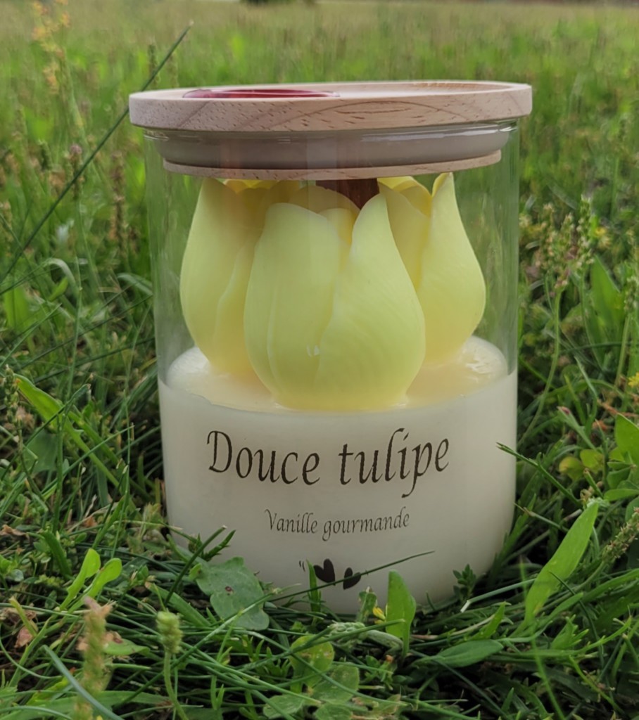 Douce tulipe jaune