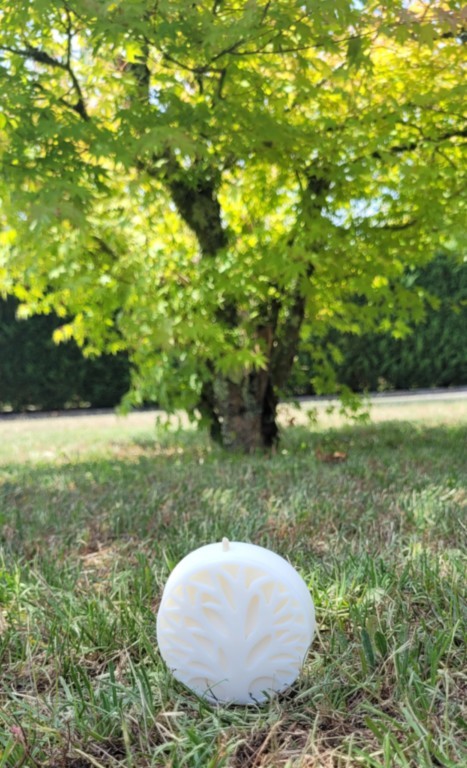 Bougie arbre de vie blanc