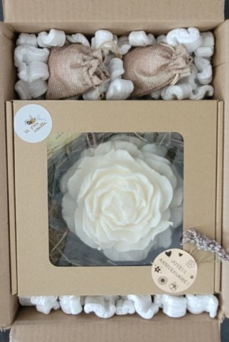 Commande pivoine XL et tulipes