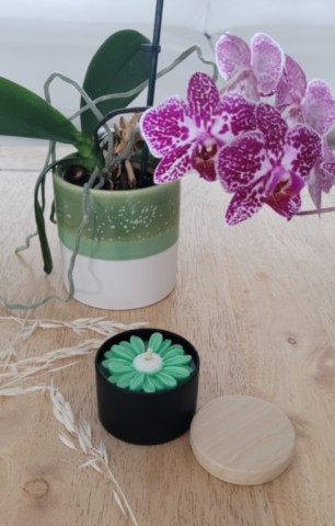 Bougie marguerite verte boîte