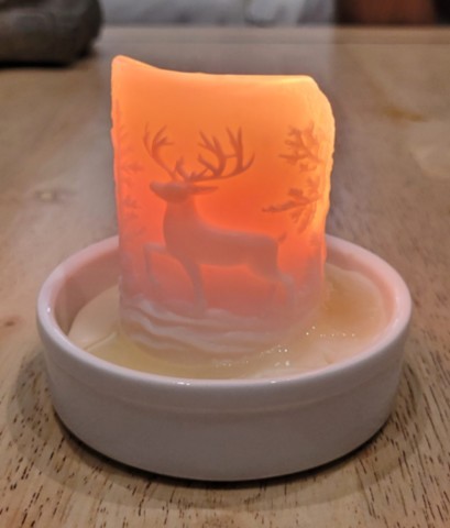 Bougie renne et arbres allumée