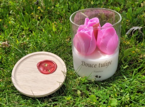 Douce tulipe ouverte