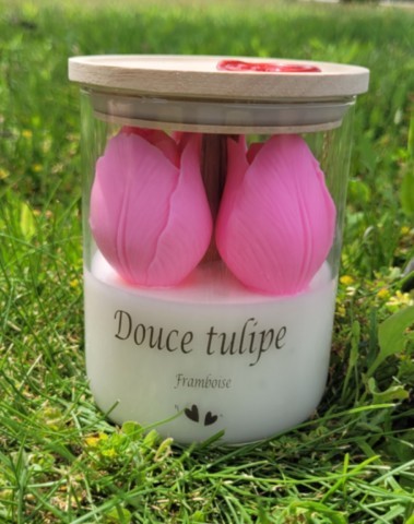 Douce tulipe