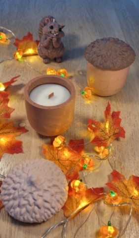 Bougie dans moule en forme de gland