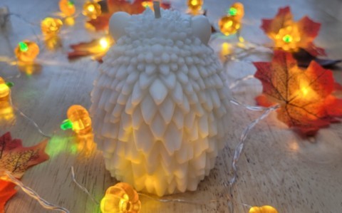 Bougie hérisson de dos