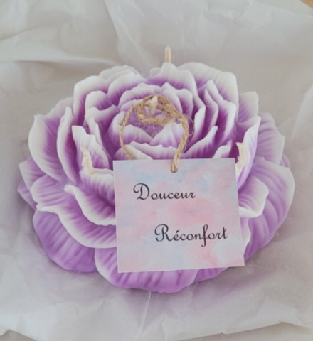 Bougie d'intention pivoine mauve XL