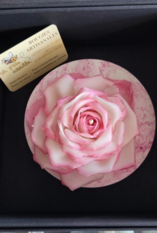 Bougie réaliste rose bordure rose dans sa boîte
